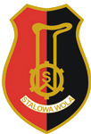 prezydent miasta stalowa wola
